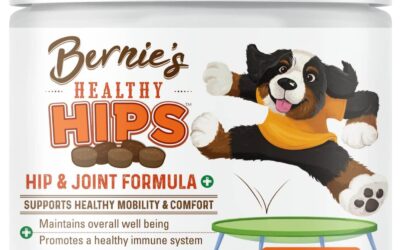 Bernie’s Healthy HIPS Review: Tasty Joint Support for Senior Dogs