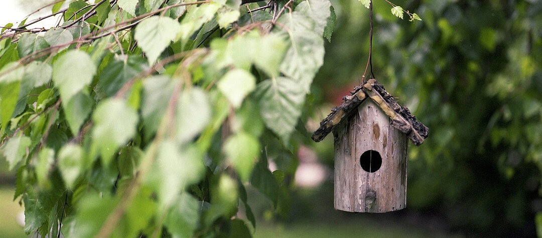 Embrace Outdoor Living in Your Own Backyard