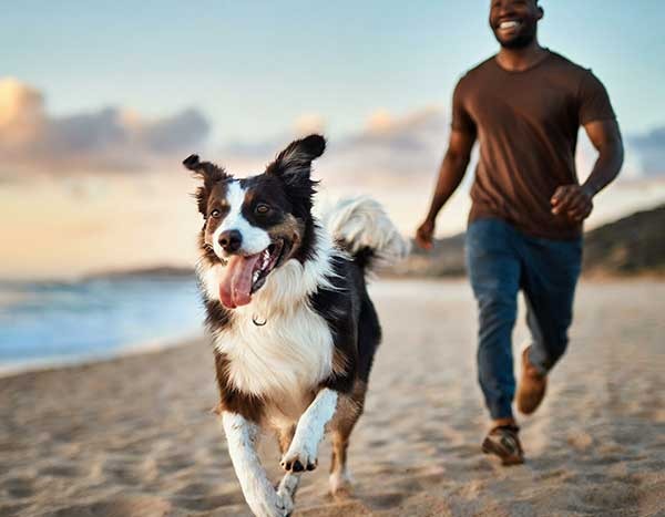 How can pets help with my health?