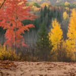 Best outdoor gear for fall adventures