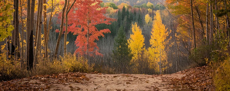 The Best Outdoor Gear for Fall Adventures: Hiking, Camping, and Biking Essentials